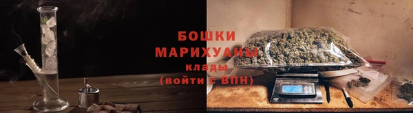 сатива Верхний Тагил